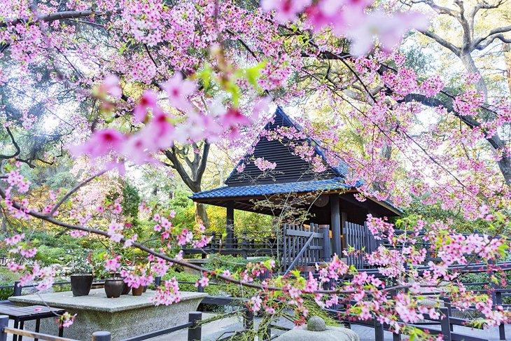 El Jardín Japonés en los Jardines Descanso