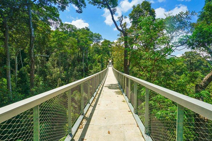 Caminata en el dosel en The Habitat Penang Hill