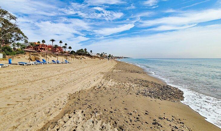 Playa de Alicate