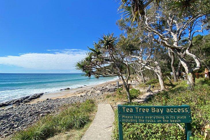 Bahía Tea Tree