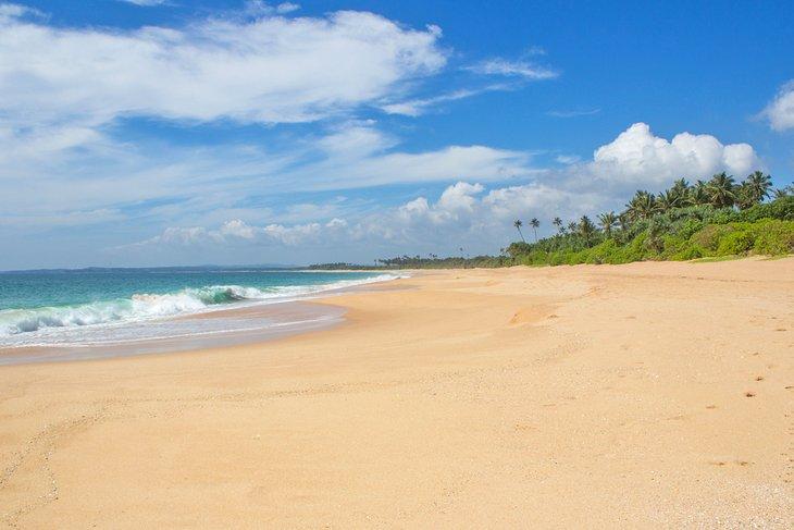 Island Harbour Beach