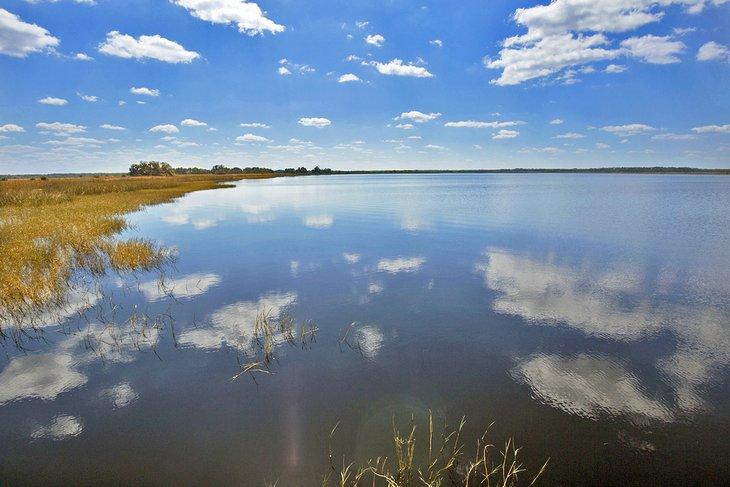 Lake Tohopekaliga
