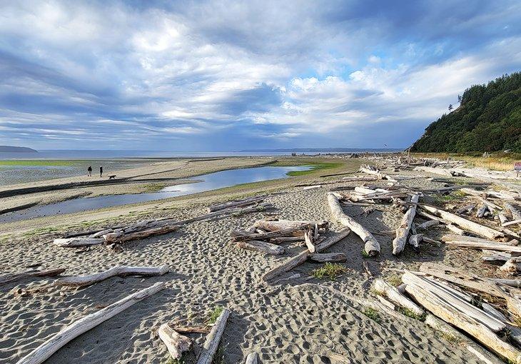 Playa Double Bluff en Whidbey Island