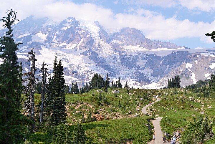Sendero en el Parque Nacional Mount Rainier