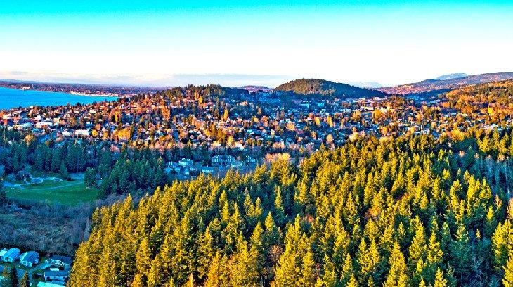 Bellingham