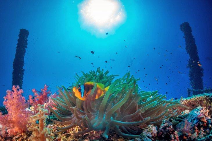 Sitio de buceo Big Brother
