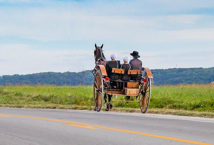 Caballo y carro en el País de los Amish de Pennsylvania