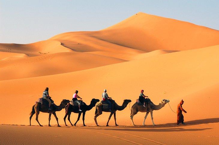 Kameltrekking durch die Sahara in Marokko