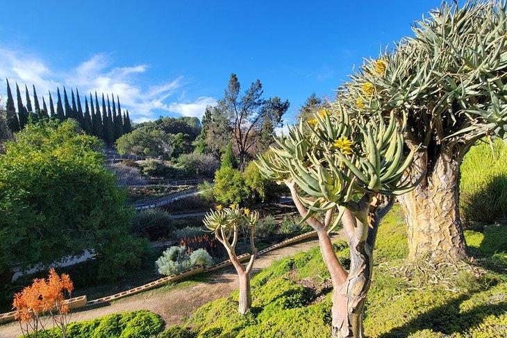 Jardines Botánicos de UC Riverside