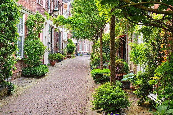 Haarlem Histórico