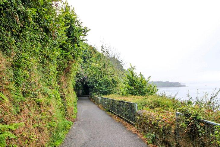 Camino Scilly