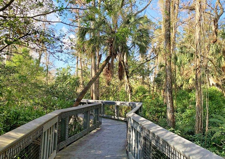 Der Steg im Tall Cypress Natural Area