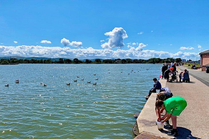 Lago Marino