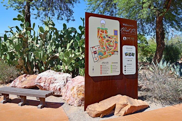 Ethel M Chocolates Factory & Cactus Garden
