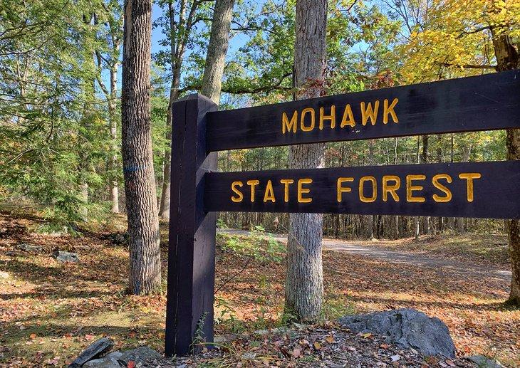 Forêt d'État de Mohawk