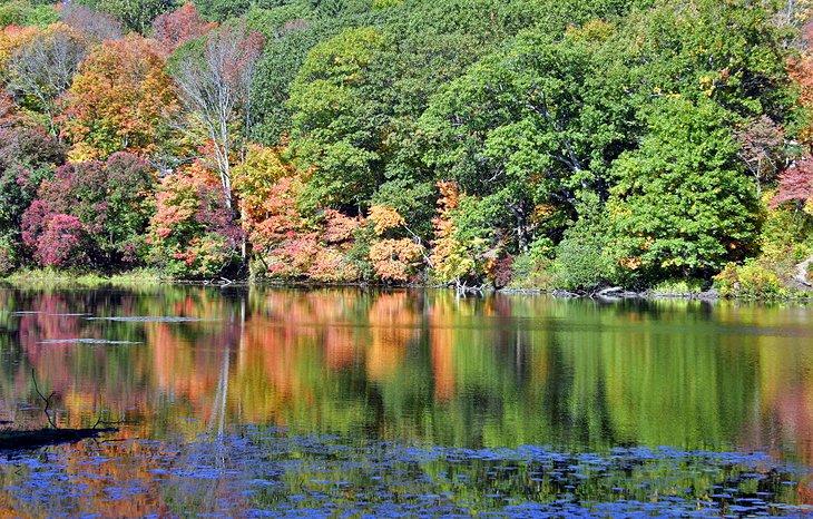 Follaje de otoño a lo largo del río Connecticut, Chester