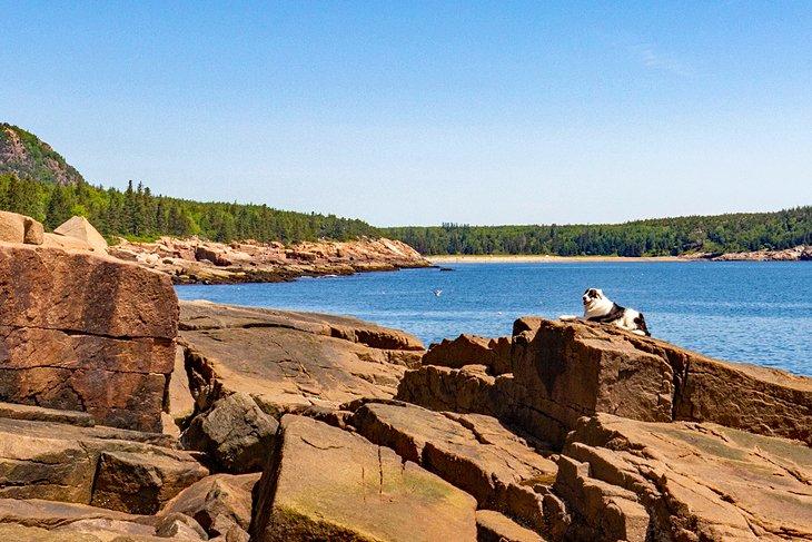 Parc national d'Acadia
