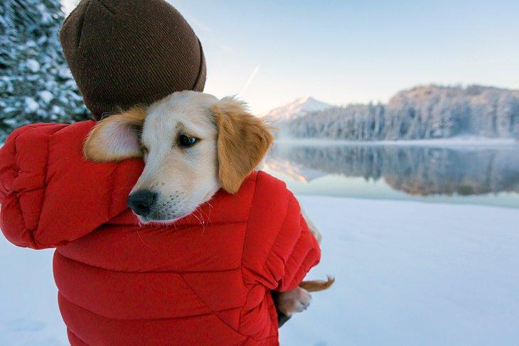Un chiot profite d'un câlin d'hiver près de Bend, Oregon