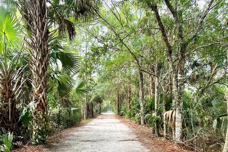Ein Weg im Loxahatchee River Battlefield Park