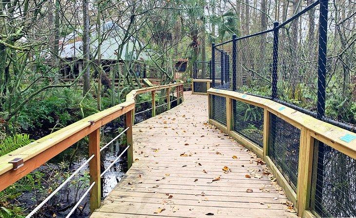 Bodenweg im Busch Wildlife Sanctuary