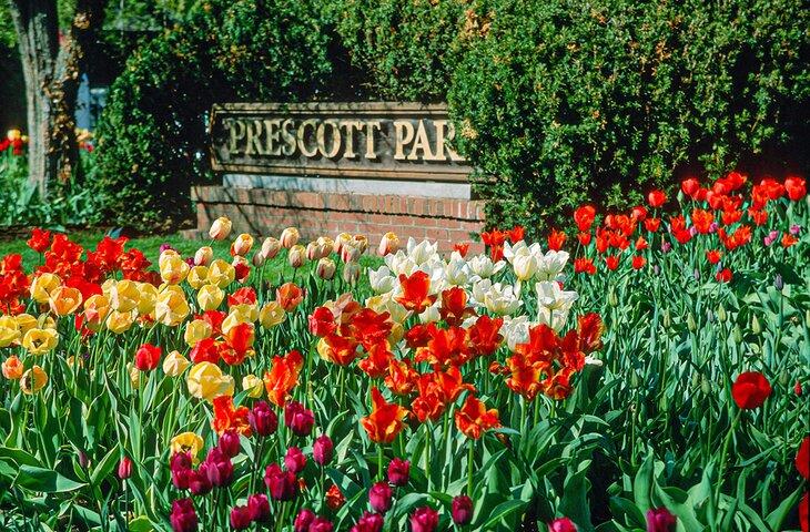 Prescott Park im Frühling