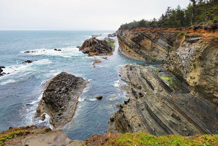 Costa de Shore Acres