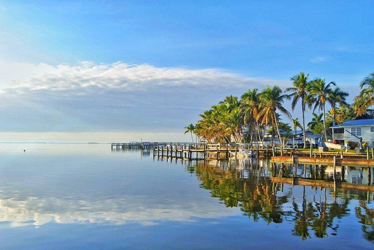 Palmeras, cielo azul y aguas tranquilas en Matlacha