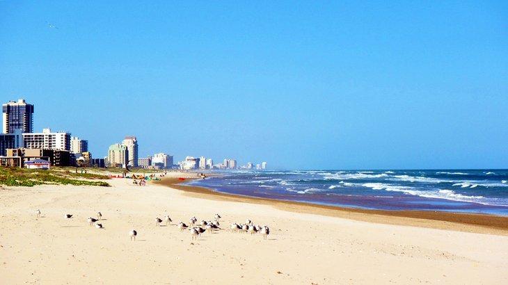 Isla South Padre