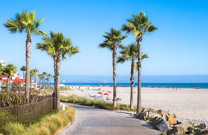 Playa y palmeras en San Diego, CA