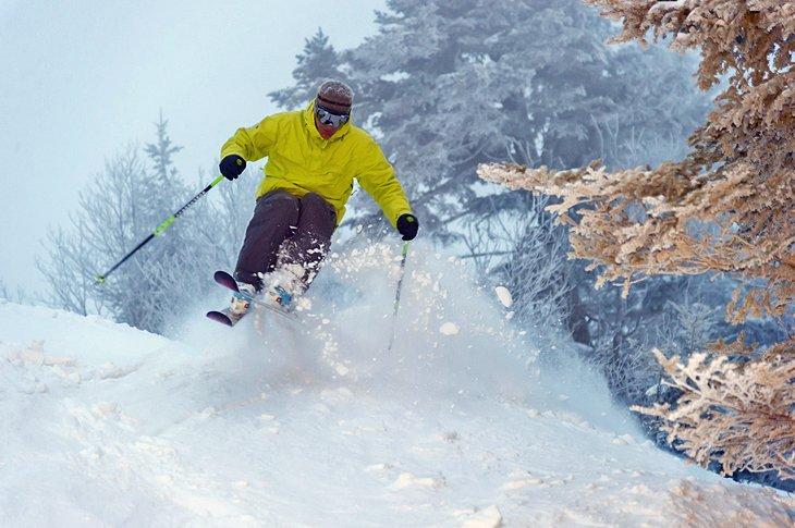 Expert skier in East Coast powder