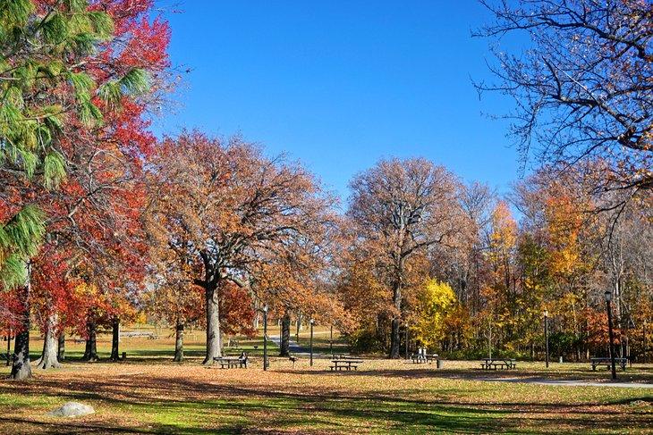 Parque Pelham Bay