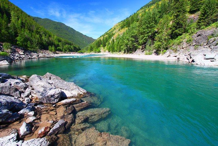 Río Flathead en el Bosque Nacional Flathead