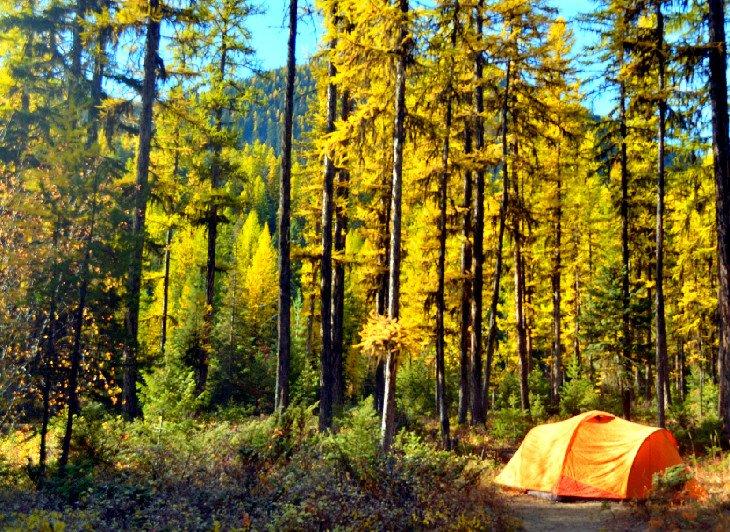 Camping en Talley Lake
