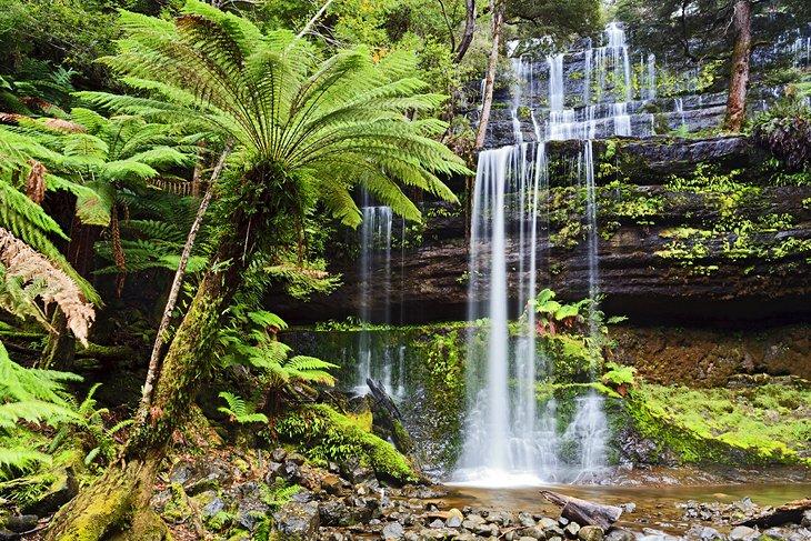 Parque Nacional Mount Field