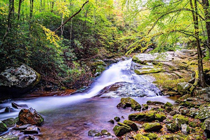 Cascada cerca de Townsend