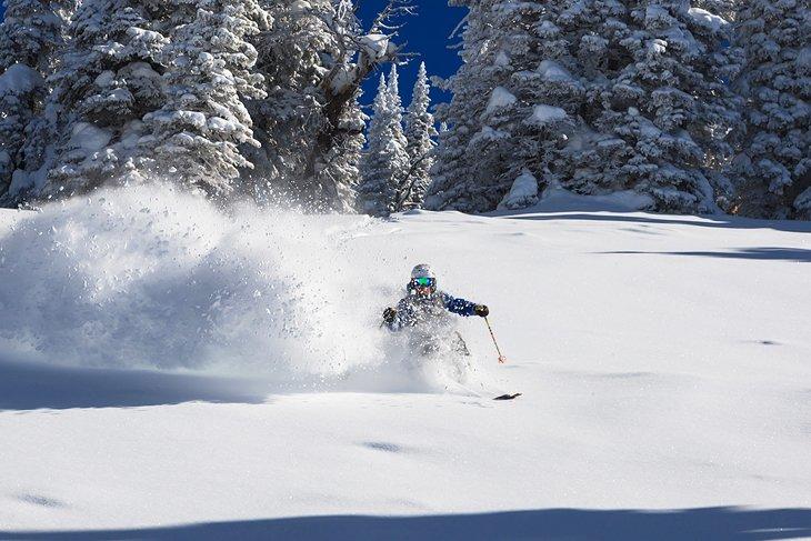 Esquiador en Jackson Hole