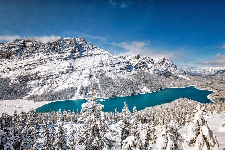 Hiver au lac Peyto dans le parc national de Banff