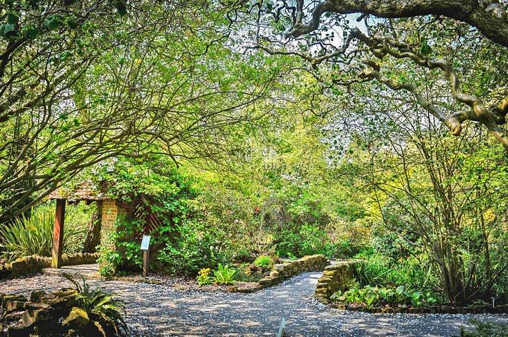 Jardín Botánico de la Universidad de Durham