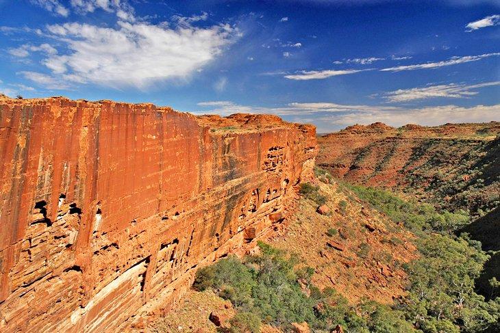 Steile Wände des Kings Canyon
