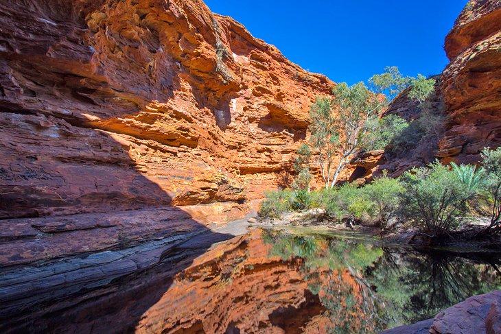 Der Garten Eden im Kings Canyon
