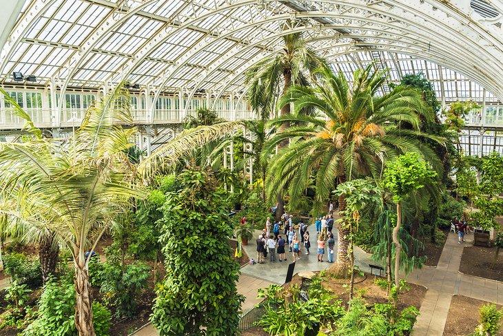 Das Palm House