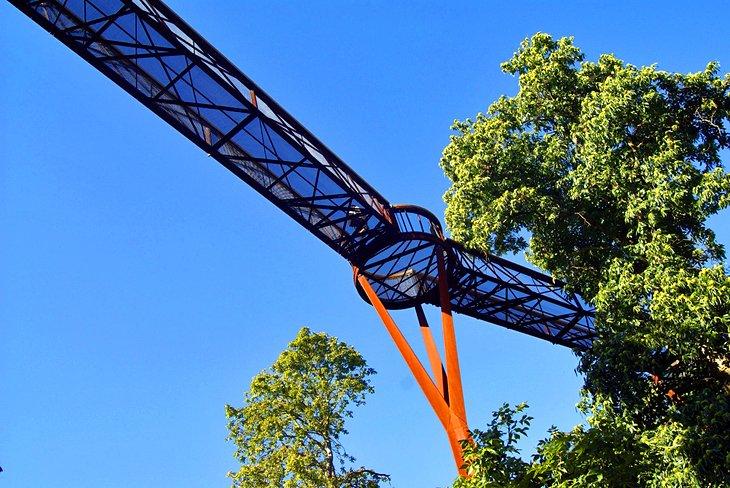 Aufrecht Gehen: Der Baumkronenweg