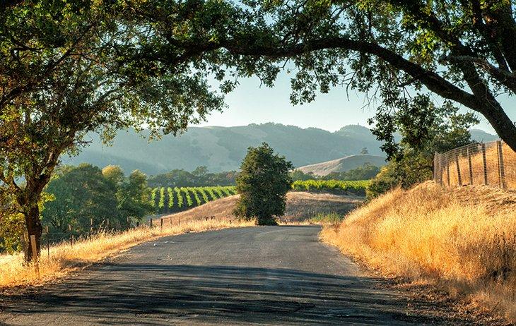 Las Colinas de Sonoma