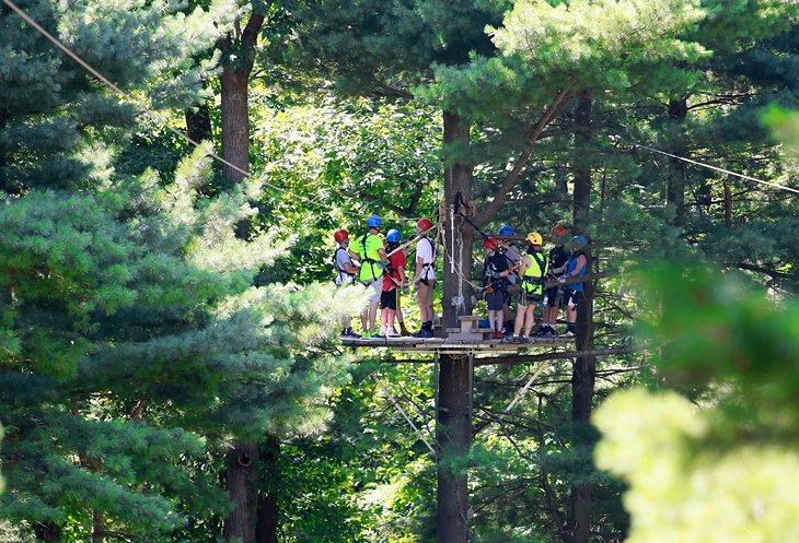 Visites des Cabanes Common Ground