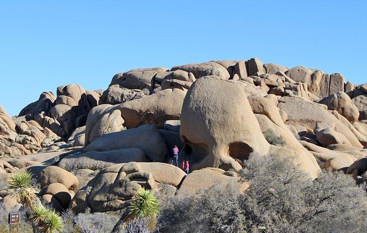 Roca Calavera