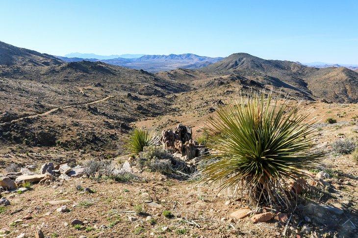 Sendero de la Mina Lost Horse