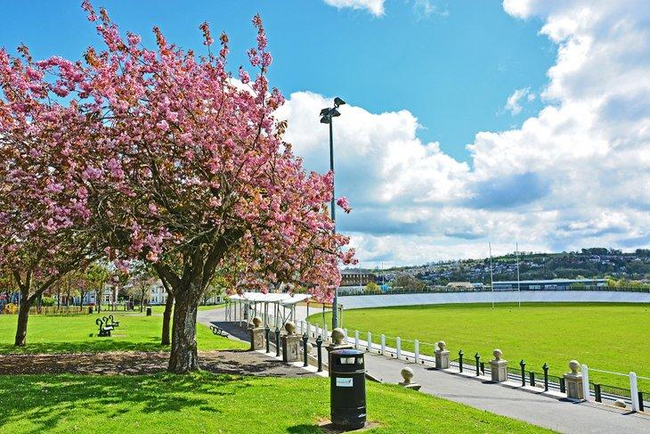 Farbenfrohe Blüten in einem Park in Carmarthen