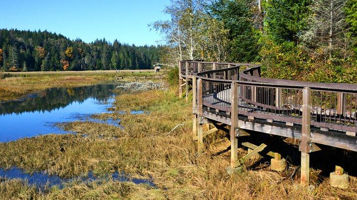 Refuge national de faune de Willapa