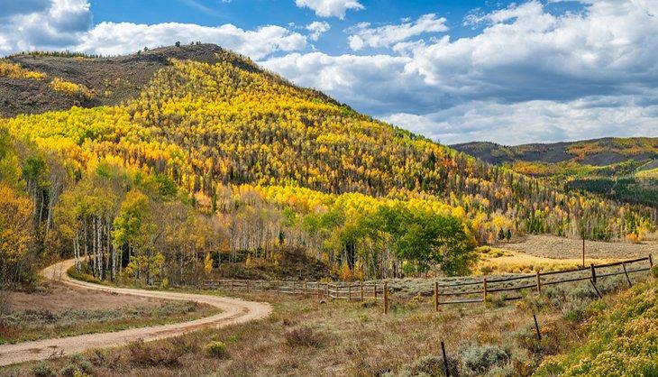 Herbstfarben im Grand County, Colorado