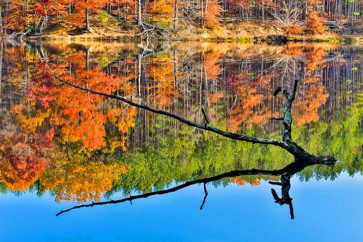 Escena de otoño colorida en el Lago Strahl, Parque Estatal de Brown County